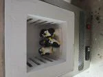 Great little kiln 5
