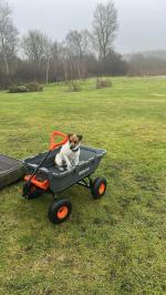Excellent garden trolly 5