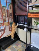 100% Quality Cat Door! 5