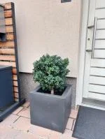 a really nice product 5