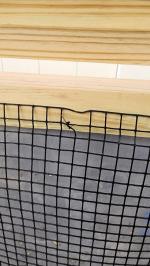 NOT 19 GAUGE WIRE 1