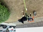Buen producto para perros grandes  5