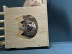 Sehr schöne Kletterwand  5