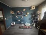 Sehr schöne Kletterwand  5