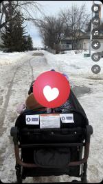 Wagon with seatbelt 5