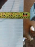 Mad at vevor 1