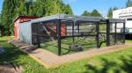 Homestead Owner 5