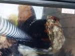 Sewer scope review  3