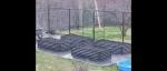 No more weeds.  5