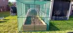 Crop Cage  5