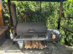 A Must Have for any outdoor kitchen 5