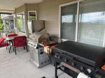 A Must Have for any outdoor kitchen 5