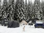 PNW BACKWOODS OVERLANDING  5