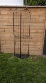 Trellis 5