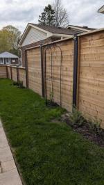 Trellis 5