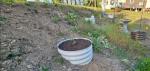 Perfect garden 5