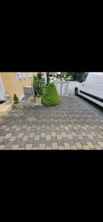 Dienstleistungen  5