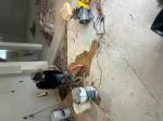 Craftsman 4