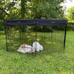 Perfect for Rabbits! 5