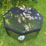 Perfect for Rabbits! 5