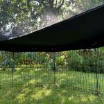 Perfect for Rabbits! 5