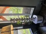 Happily Growing 4