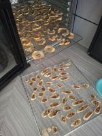 VEVOR food dehydrator 5