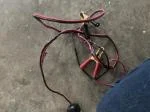 Water pump failure  1