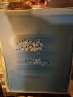 Screen Printer 1