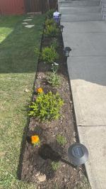 Garden edge  5