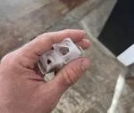 Impossible d’obtenir des glaçons de qualité 1
