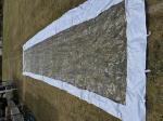 partry tent  2