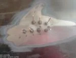 Stud gun 5