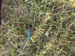 Purchased item  3