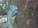 Homesteader 2