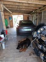 Excellent  5