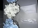 Hortensia  5