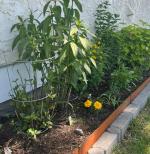 Inexpensive & Quick Solution 5