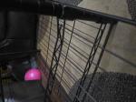 Poor quality  1