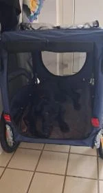 Hundetrailer  5