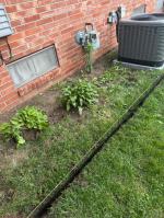 Side of house edging project went well 5