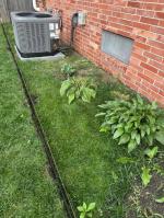 Side of house edging project went well 5