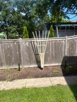Anchor post for trellis 5