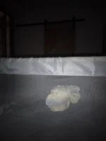 Poco seguro. 1