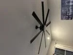 The Best Fan There Is! 5