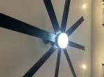 The Best Fan There Is! 5