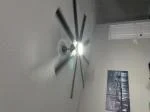 The Best Fan There Is! 5