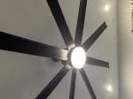 The Best Fan There Is! 5