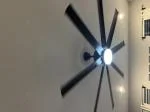 The Best Fan There Is! 5