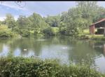 3/4acre pond water meal treatment 5